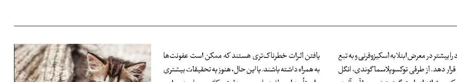 نگهداری از گربه و خطر ابتلا به اسکیزوفرنی