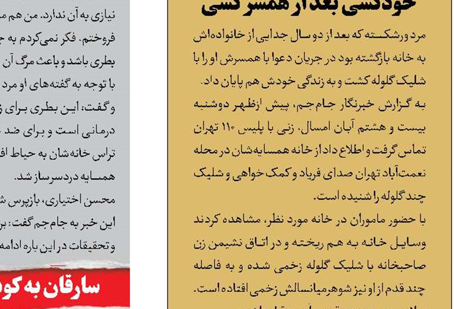 اعتراف زن میانسال به قتل شوهر صیغه‌ای 