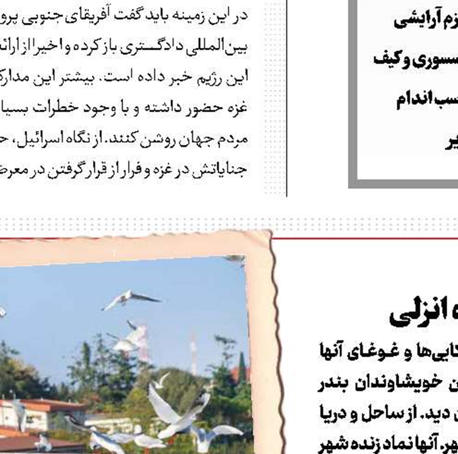 تاوان شرافت