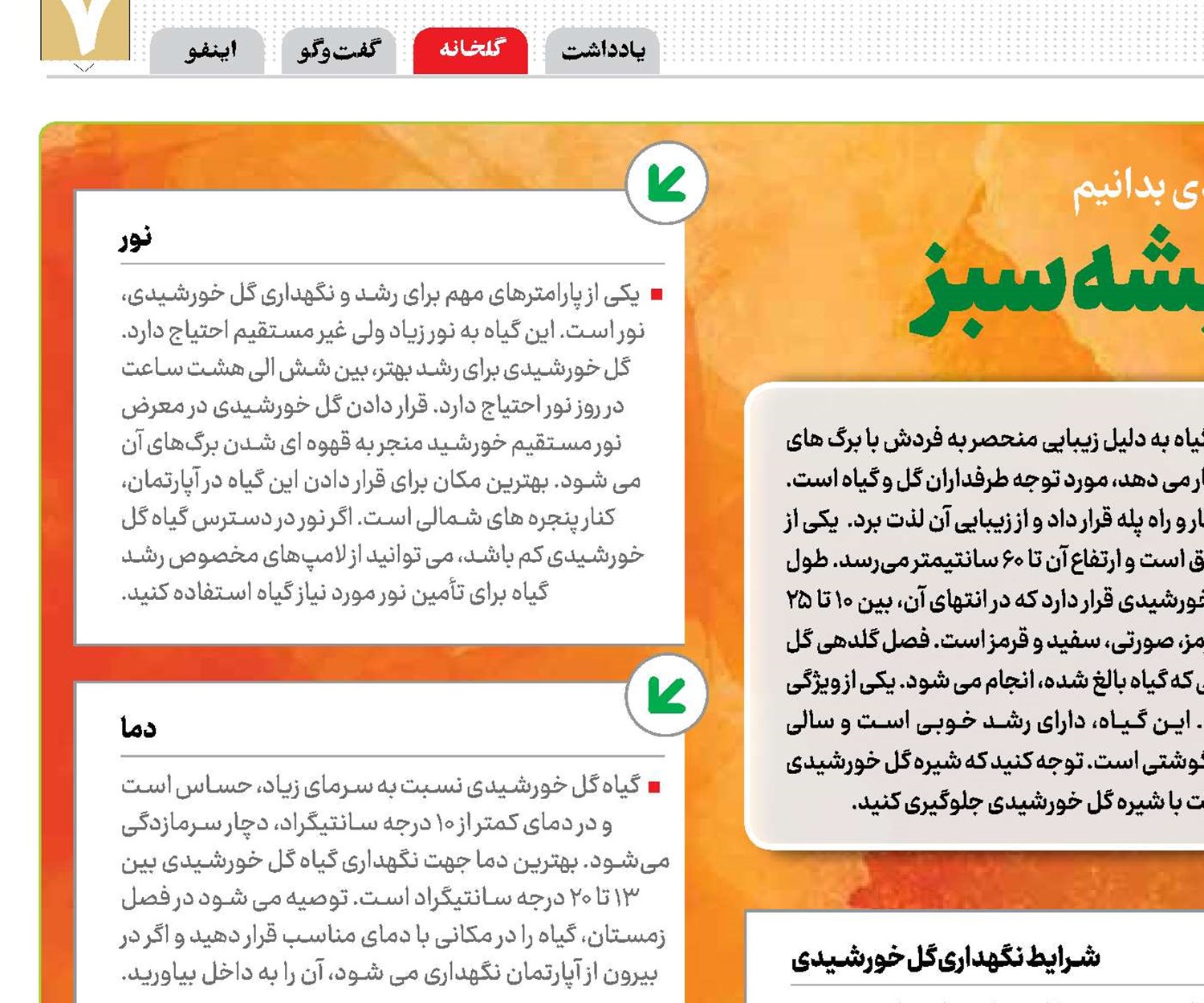 این خورشید همیشه سبز