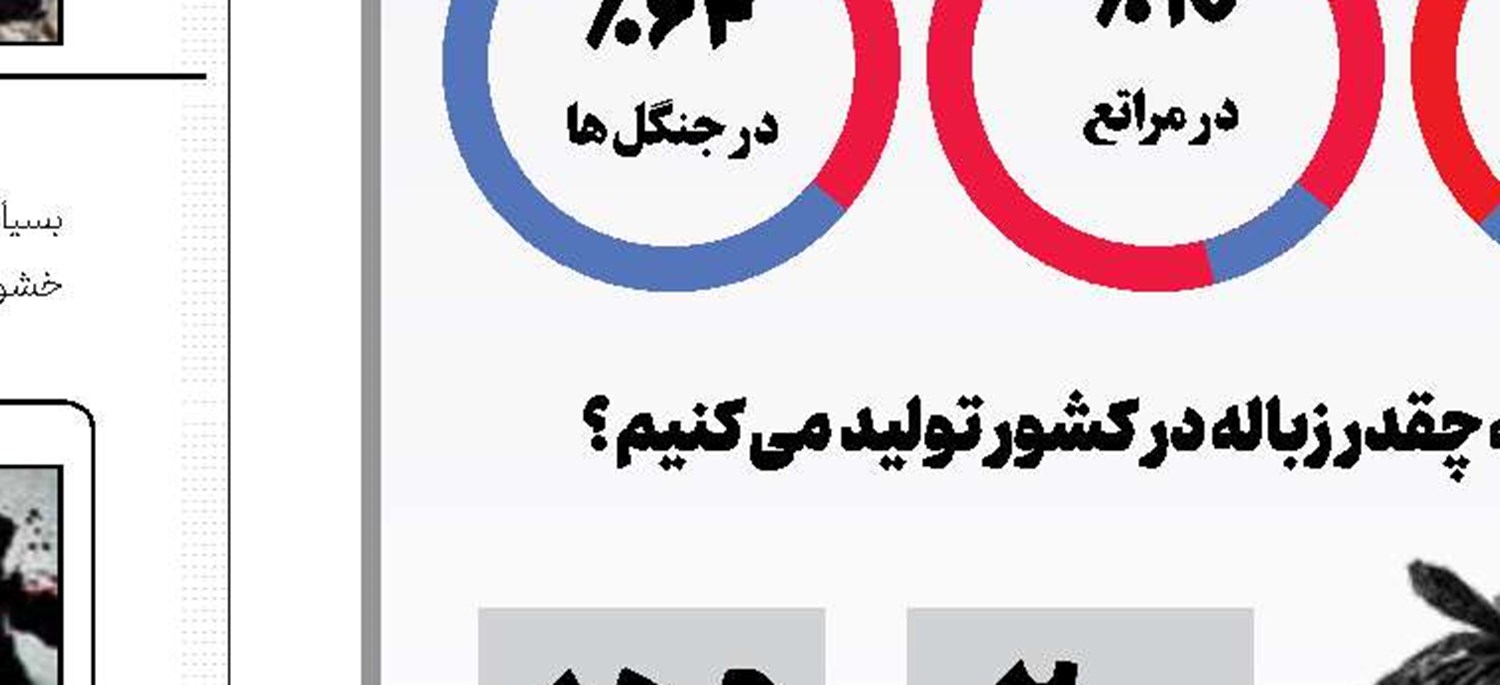 آشفتگی در صبوری!