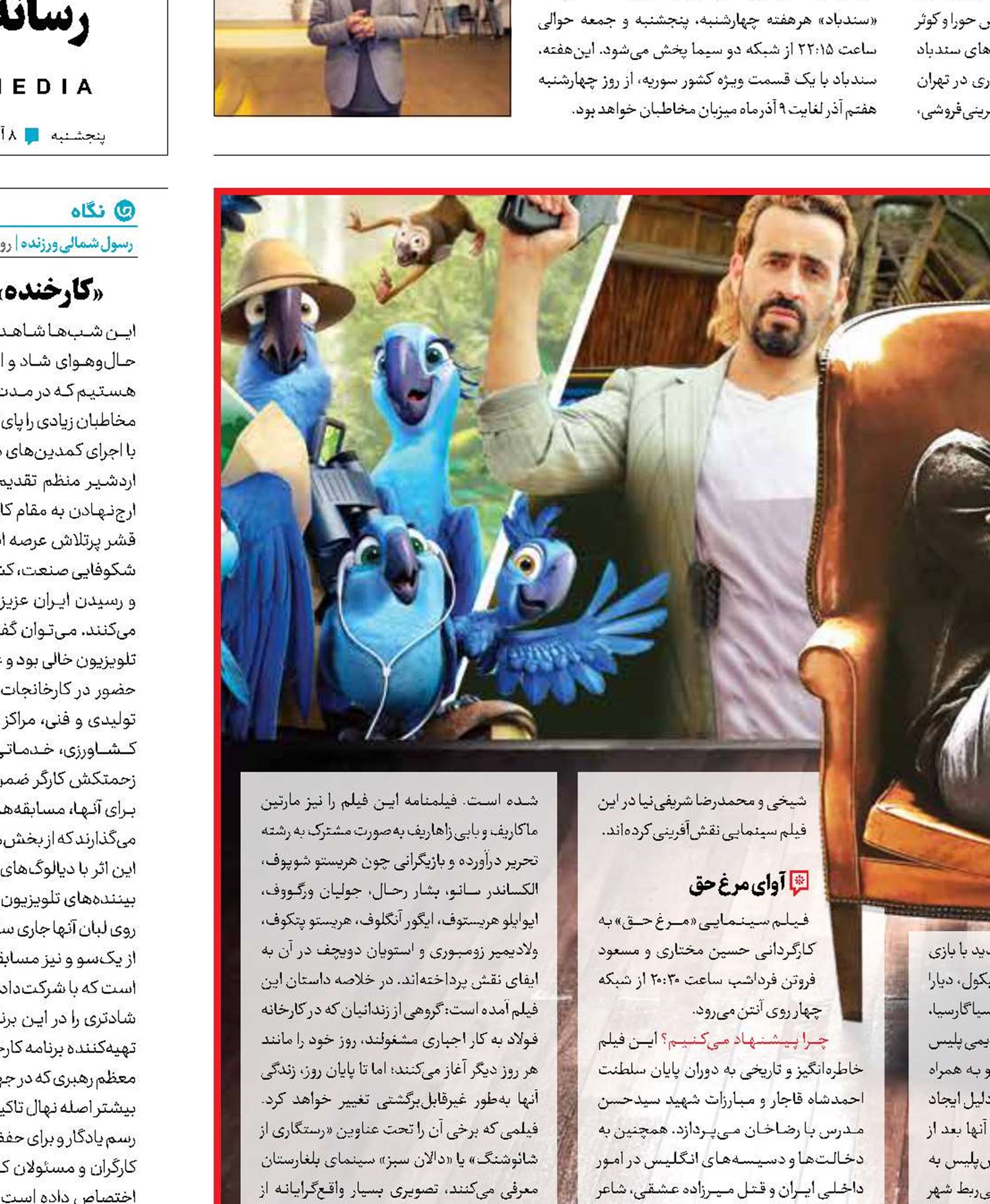 نغمه مرغ حق درشهر پرندگان