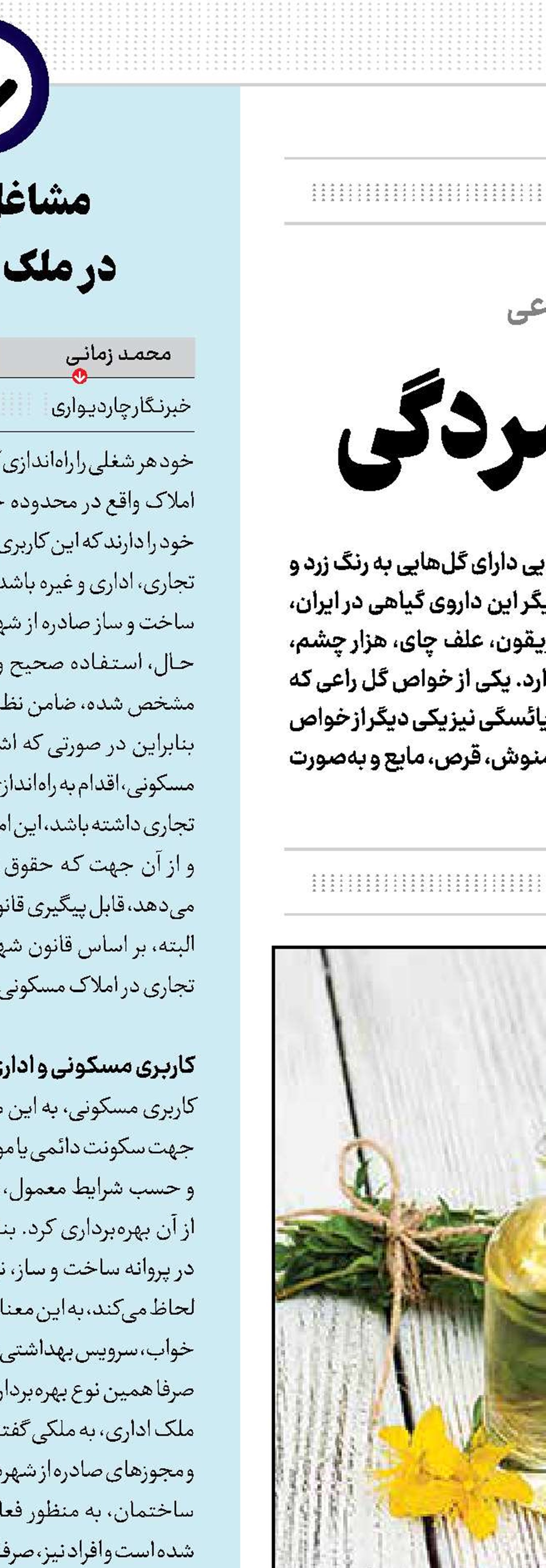 یک گل ضدافسردگی 