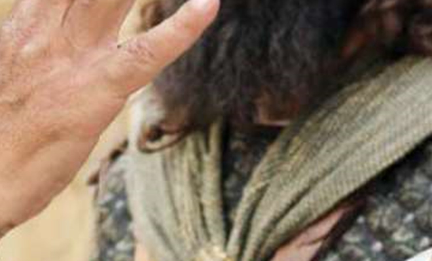 شکست تل‌آویو در جنگ و آتش‌بس
