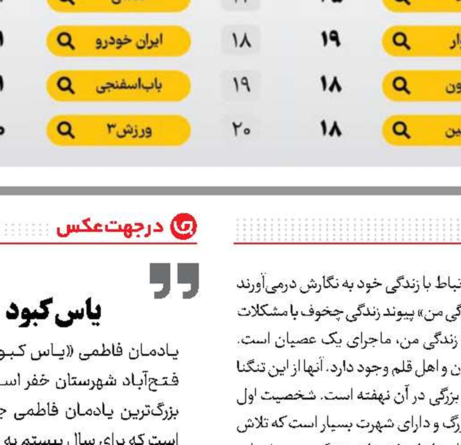 فیل در آینه