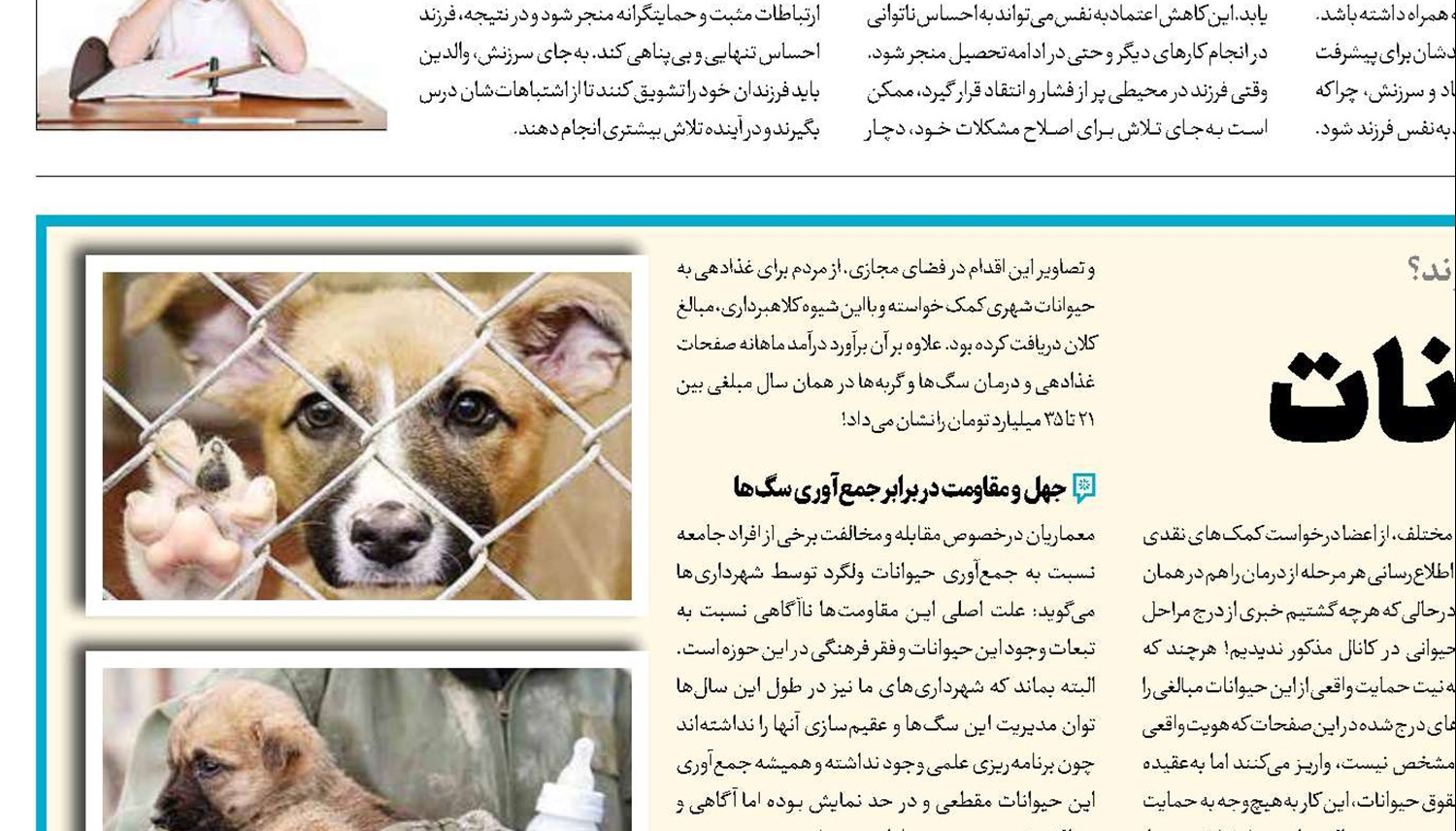 تجارت با زخم حیوانات
