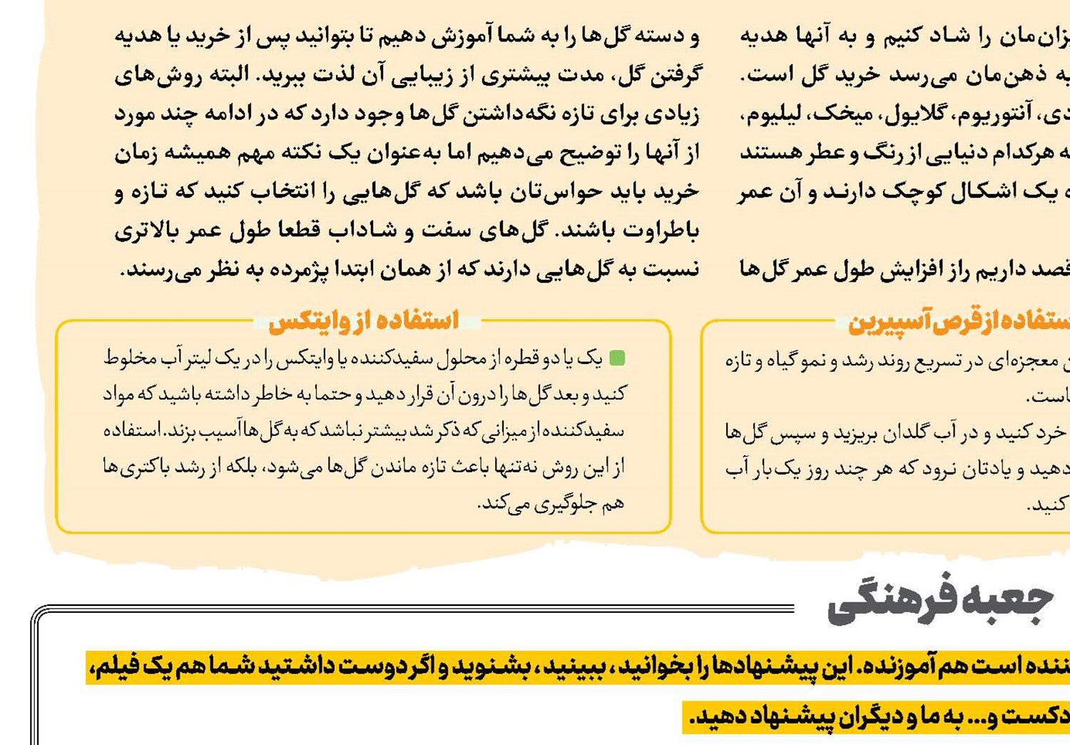 جعبه فرهنگی