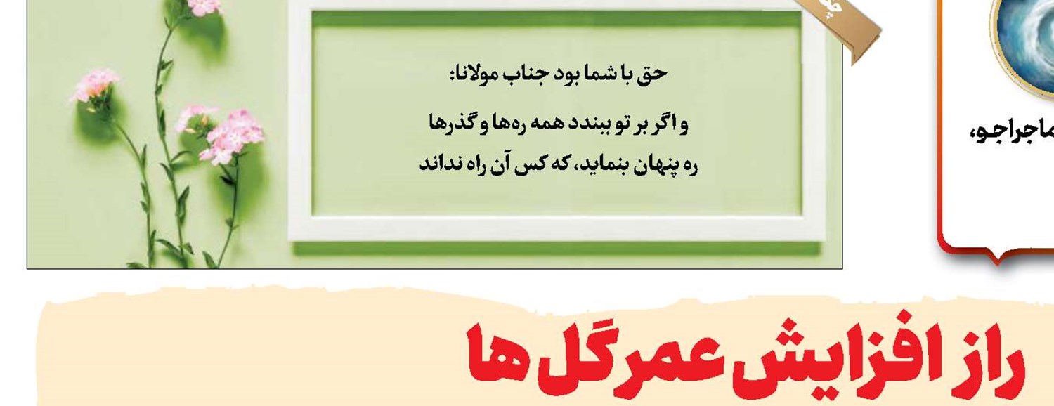 راز افزایش عمر گل‌ها