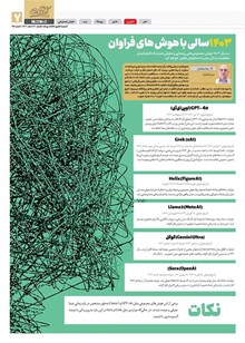 page