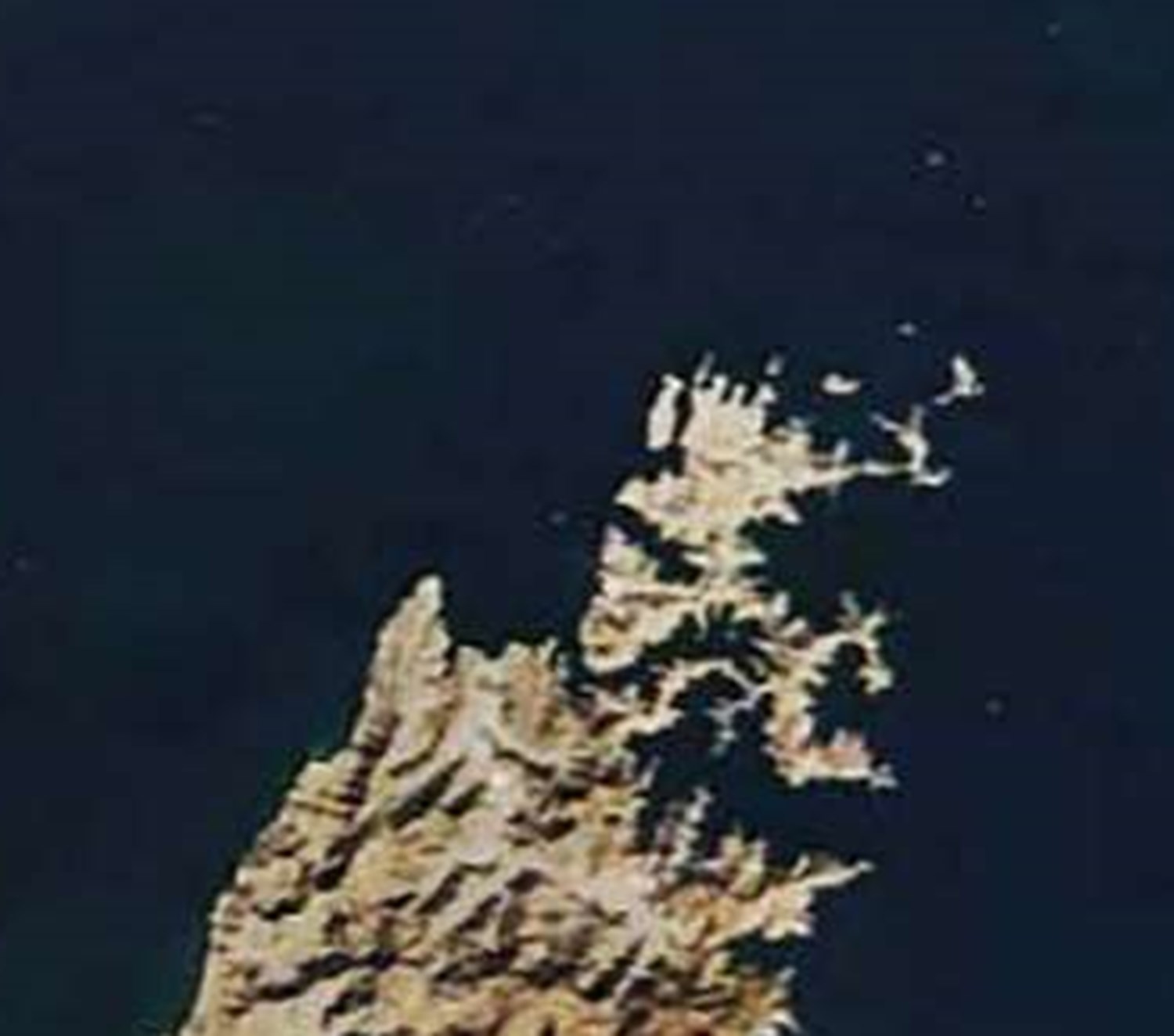 ایستاده مثل کادر درمان
