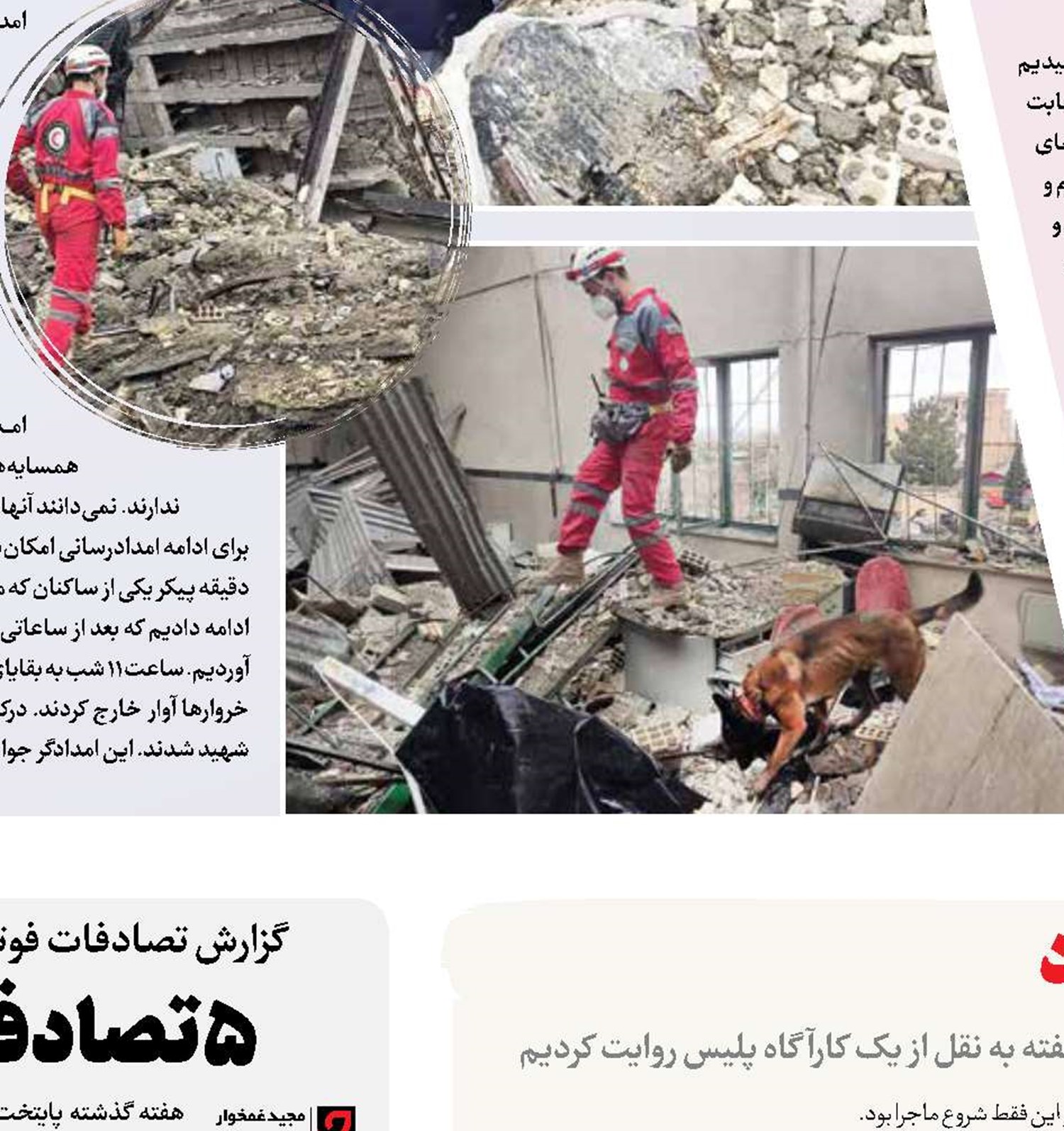 انتقام خونین داماد