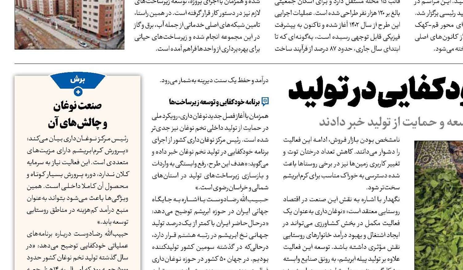 نوغان‌داری؛ صنعتی با امید خودکفایی در تولید