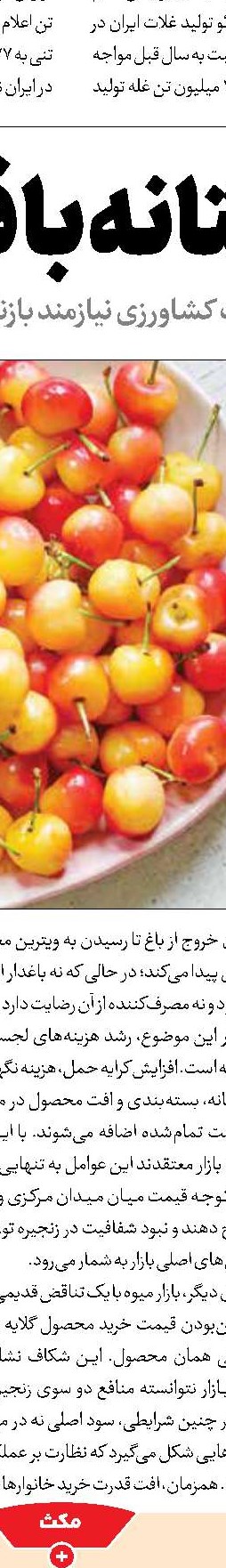 ماجرای بدهی ۱۷میلیارد دلاری نفت به صندوق توسعه ملی