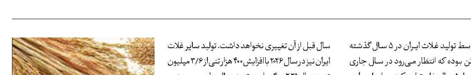 ایران امسال بیشتر از متوسط 5 ساله غله تولید می‌کند