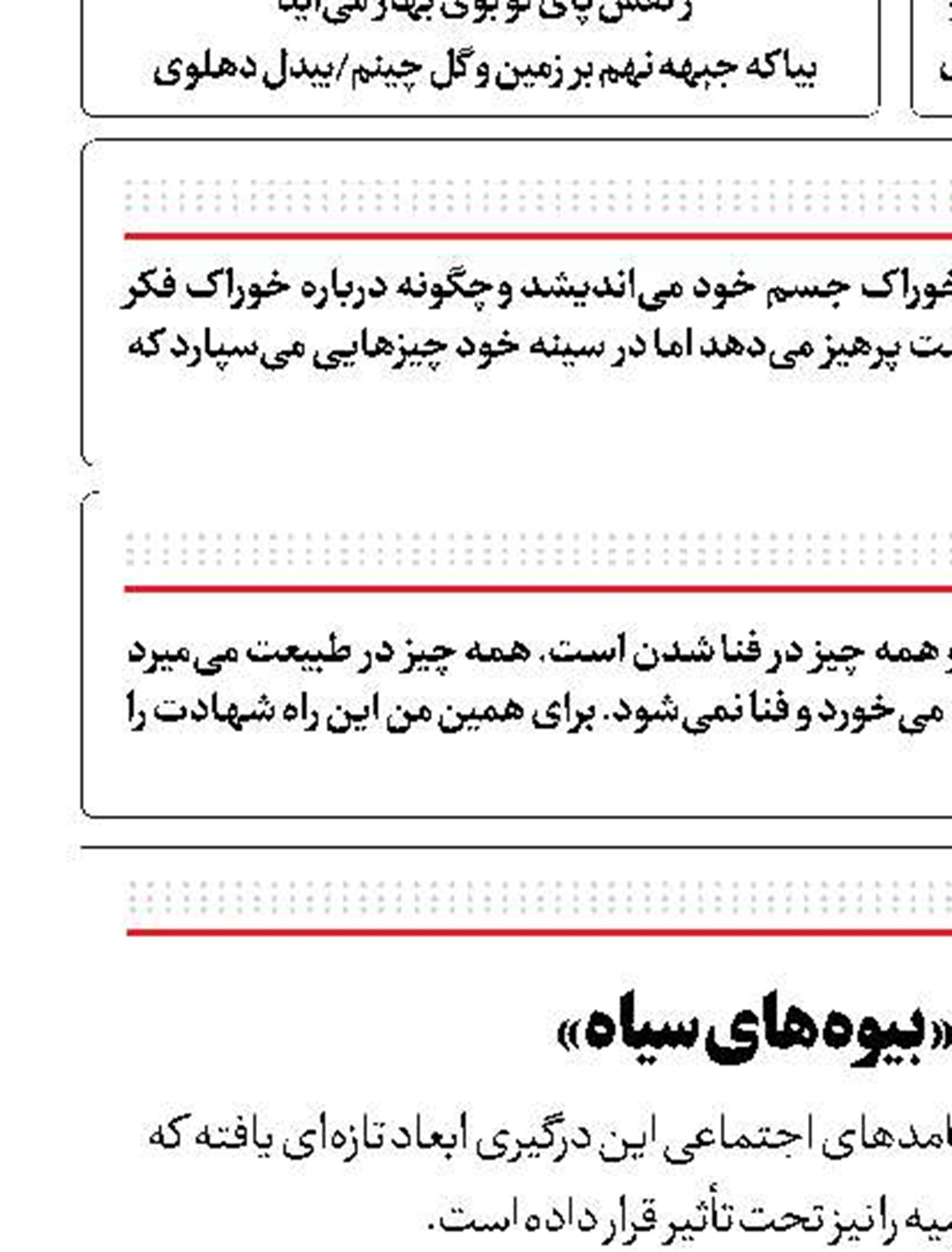 ظهور عجیب «بیوه‌های سیاه»