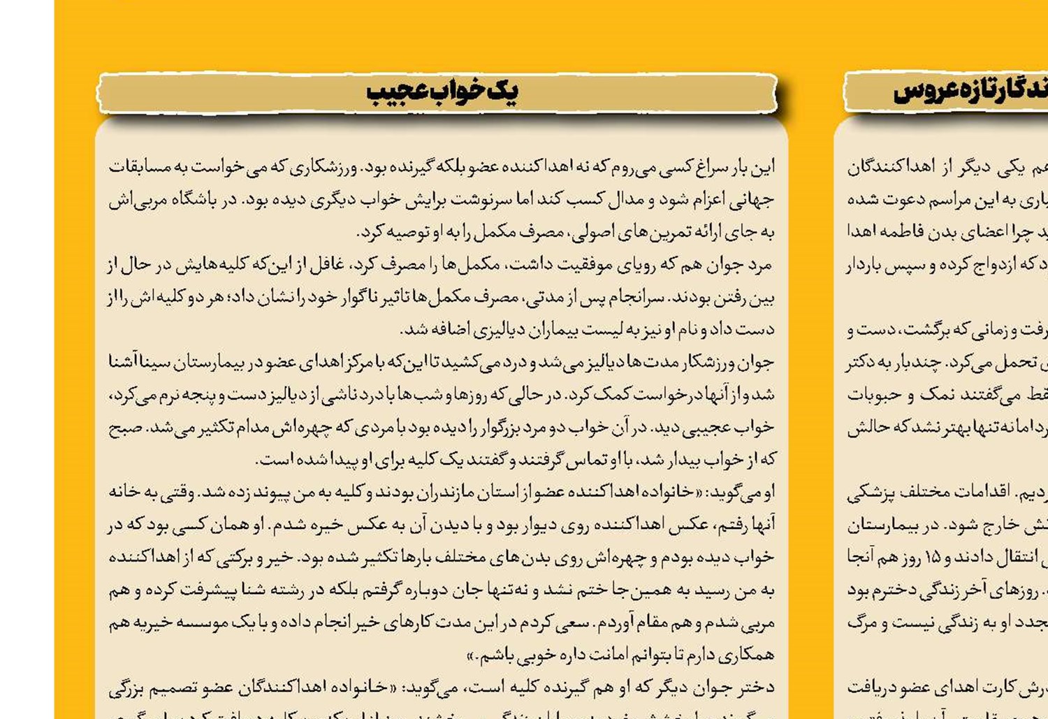 مافیای سرقت مسلحانه کشور پای چوبه دار  