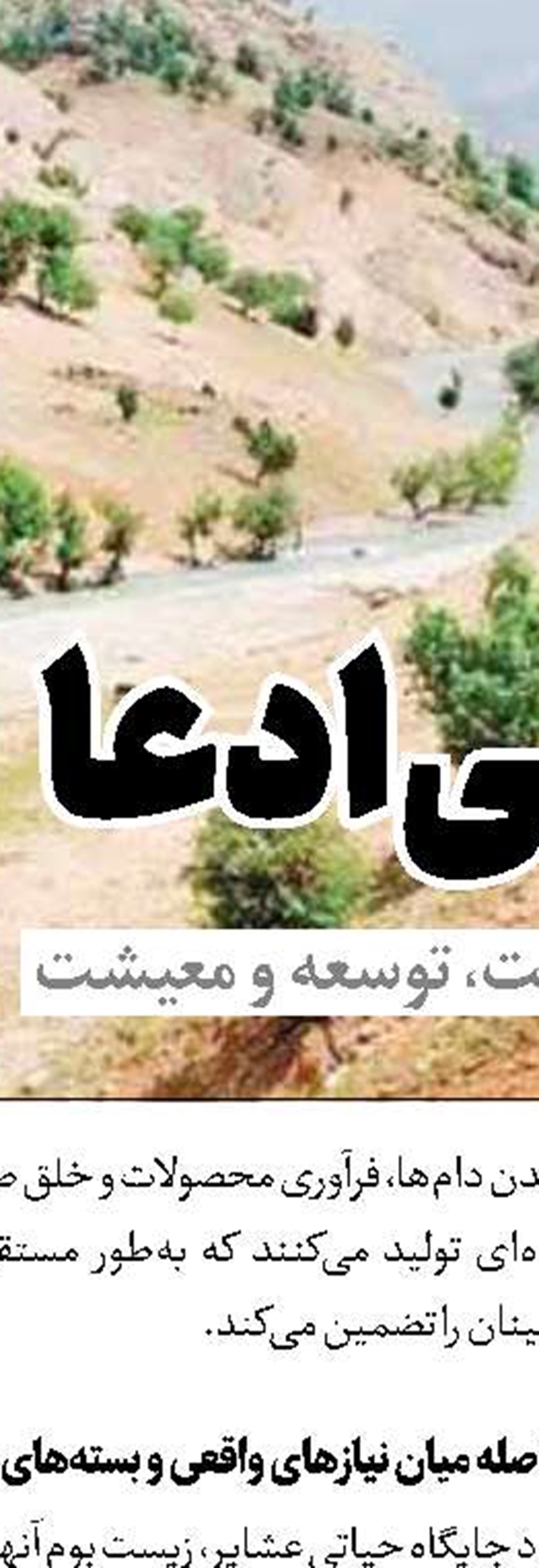 شمار فوک‌های خزری تلف‌شده به ۲۷ قلاده رسید