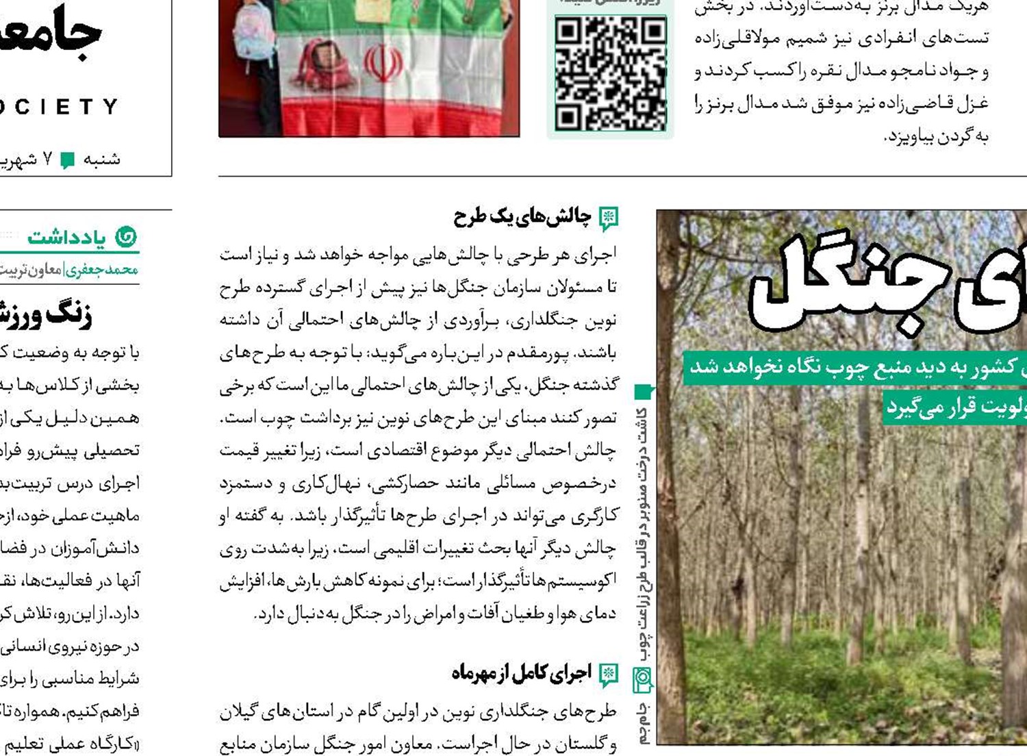 طرحی نو  برای جنگل