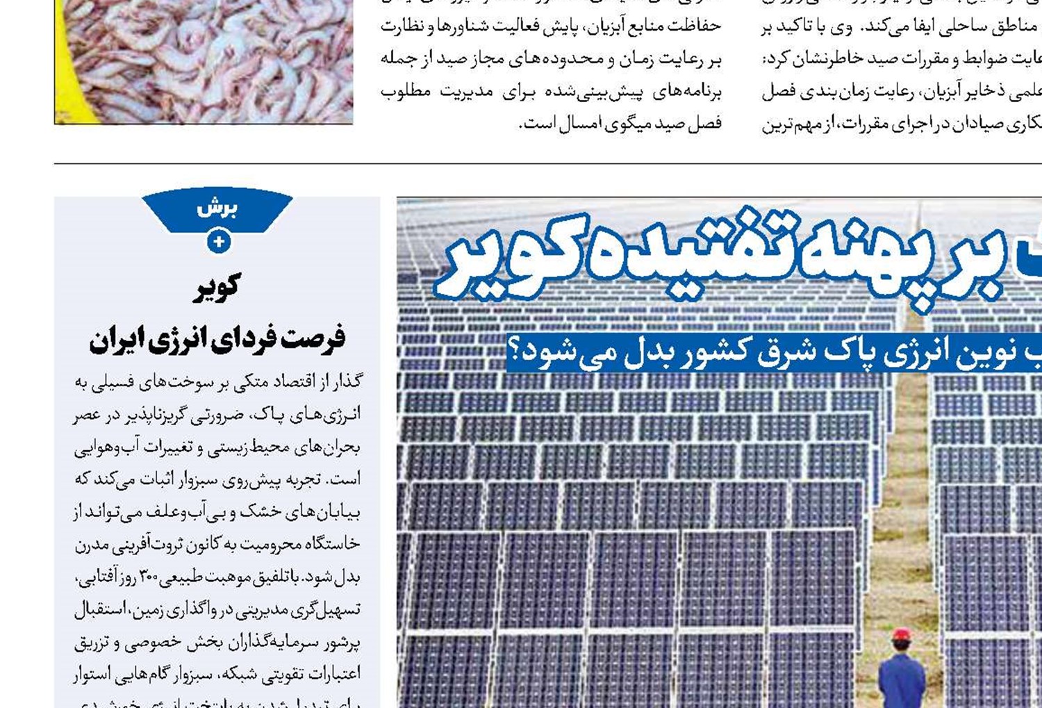 طلای تابناک بر پهنه  تفتیده  کویر