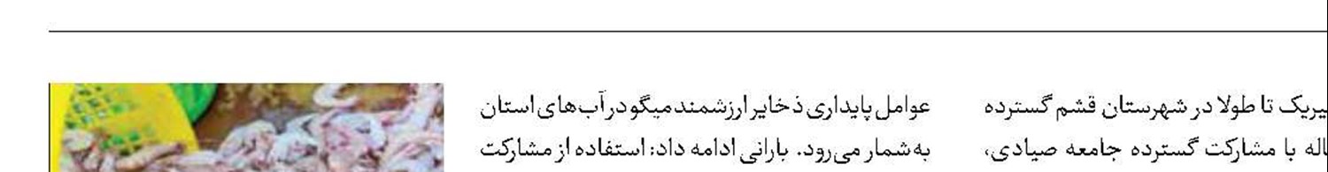 فصل مجاز صید میگو  در هرمزگان اعلام شد