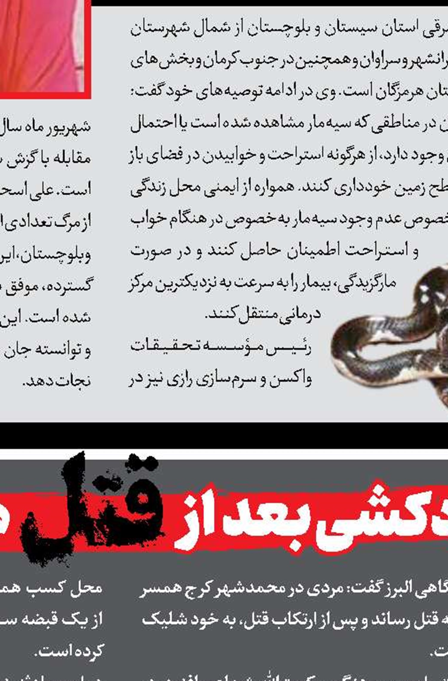 روباه خانه‌های تهران در تله پلیس