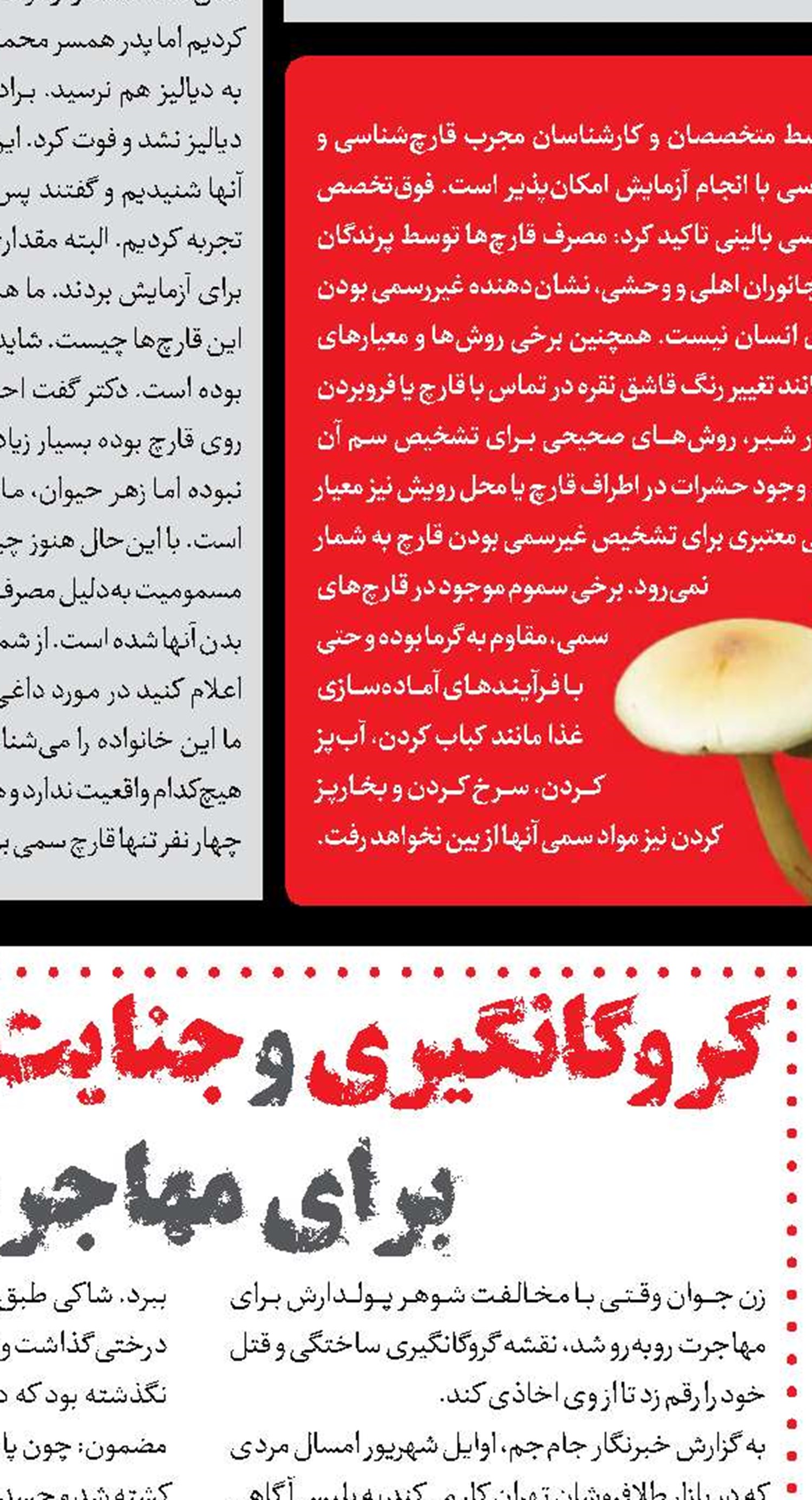 سومین حکم قصاص  برای جنایت در چادر مسافرتی